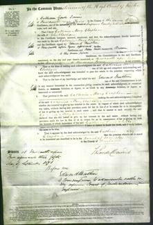 Court of Common Pleas - Catherine Mary Clapham-Original Ancestry