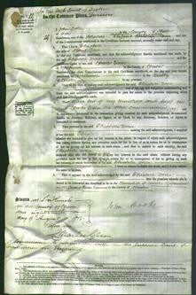 Court of Common Pleas - Elizabeth Done-Original Ancestry