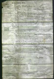 Court of Common Pleas - Mary Greasley-Original Ancestry