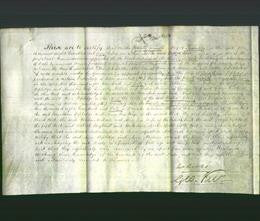 Deed by Married Women - Ann Dopledge and Ann Milner-Original Ancestry