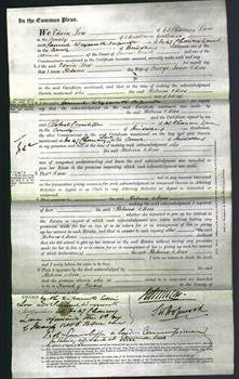 Court of Common Pleas - Rebecca Moss-Original Ancestry