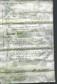 Court of Common Pleas - Frances Sarah Walker-Original Ancestry