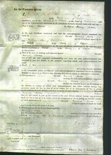 Court of Common Pleas - Emma Moore-Original Ancestry