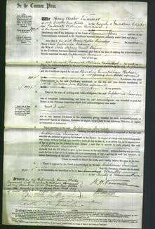 Court of Common Pleas - Euphemia Jemima Stepney-Original Ancestry