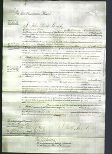 Court of Common Pleas - Sarah Smithson-Original Ancestry