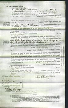 Court of Common Pleas - Eliza Christine Jagger-Original Ancestry