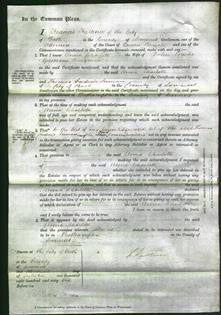 Court of Common Pleas- Anna Charlotte Ferryman-Original Ancestry