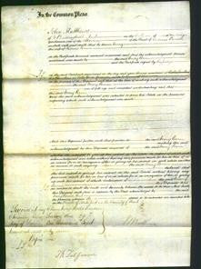 Court of Common Pleas - Mary Perrin-Original Ancestry