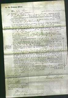 Court of Common Pleas - Alice Lewis and Rachael Stiff-Original Ancestry