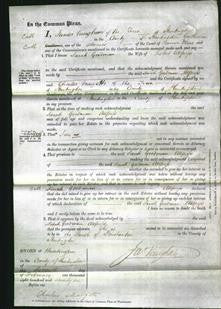 Court of Common Pleas - Sarah Goodman Allpress-Original Ancestry