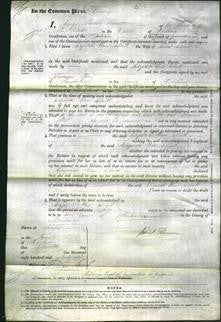 Court of Common Pleas - Elizabeth Ann Elliott-Original Ancestry