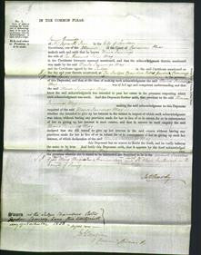 Court of Common Pleas - Maria Jennings May-Original Ancestry