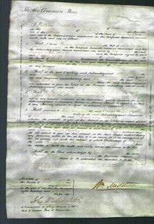 Court of Common Pleas - Frances Sarah Walker-Original Ancestry