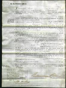 Court of Common Pleas - Sarah Anne Lewis-Original Ancestry