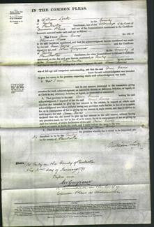 Court of Common Pleas - Ann Davis Rees-Original Ancestry