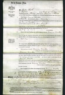 Court of Common Pleas - Frances Martha Fearnley-Original Ancestry