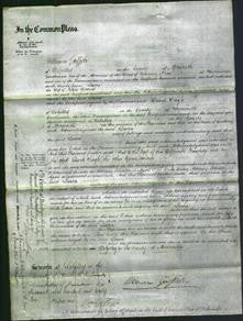 Court of Common Pleas - Laura Davies-Original Ancestry