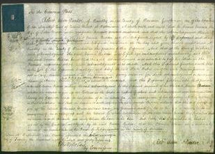 Court of Common Pleas - Emma Beddoe-Original Ancestry
