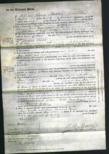 Court of Common Pleas - Eliza Wright and Jane Hannah Griffin-Original Ancestry