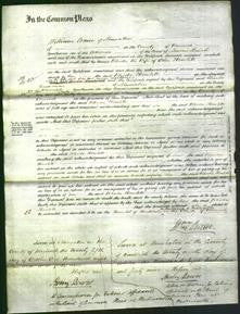 Court of Common Pleas - Rhoda Howlett-Original Ancestry