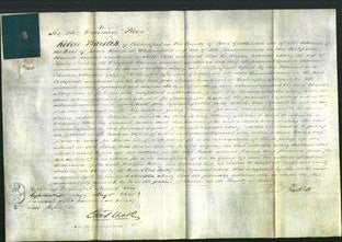 Court of Common Pleas - Martha Mary Finch-Original Ancestry