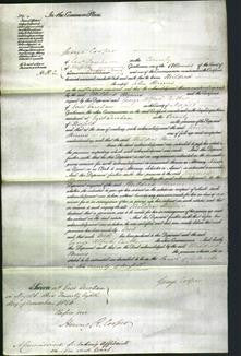 Court of Common Pleas - Mildred Minns-Original Ancestry