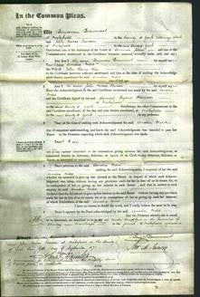 Court of Common Pleas - Amelia Wild Hey-Original Ancestry