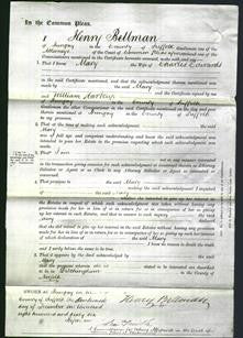 Court of Common Pleas - Mary Edwards-Original Ancestry