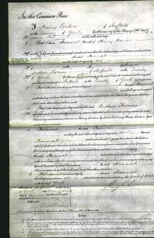 Court of Common Pleas - Hannah Unwin-Original Ancestry