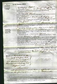 Court of Common Pleas - Jemima Spear-Original Ancestry