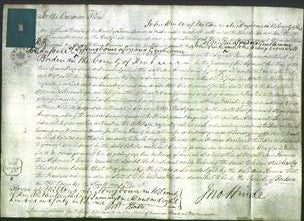 Court of Common Pleas - Ann Scoones-Original Ancestry