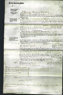 Court of Common Pleas - Ann Lucy Walker Spencer, Rebecca Cooper and Caroline Clarke-Original Ancestry