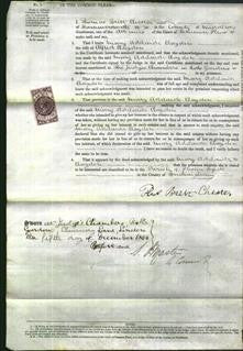 Court of Common Pleas - Mary Adelaide Claydon-Original Ancestry