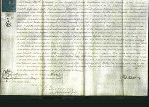 Court of Common Pleas - Elizabeth Eastland-Original Ancestry