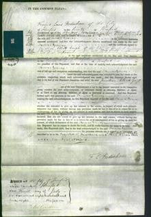 Court of Common Pleas - Theans Young-Original Ancestry