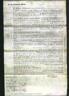 Court of Common Pleas - Elizabeth Norton, Providence Gowing-Original Ancestry