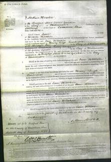 Court of Common Pleas - Jane Wiltshire-Original Ancestry