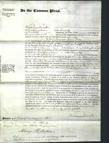 Court of Common Pleas - Emily Trundle-Original Ancestry