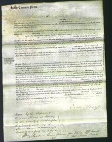 Court of Common Pleas - Hannah Marshfield-Original Ancestry
