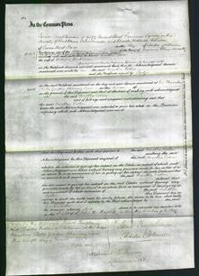 Court of Common Pleas - Martha Esther Heathman-Original Ancestry
