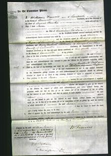 Court of Common Pleas - Jane Gardner-Original Ancestry