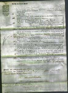 Court of Common Pleas - Cecilia Young-Original Ancestry