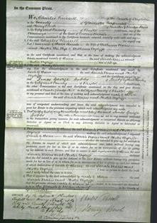 Court of Common Pleas - Sarah Norris, Hester Ayliffe-Original Ancestry