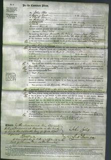 Court of Common Pleas - Harriette Jones, Phoebe Hughes and Annabella Bythell-Original Ancestry