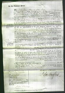 Court of Common Pleas - Mary Hughes, Elizabeth Williams, Frances Rees and Anne Rees-Original Ancestry