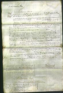 Court of Common Pleas - Matilda Smith-Original Ancestry