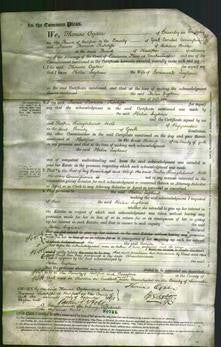 Court of Common Pleas - Helen Ingham-Original Ancestry