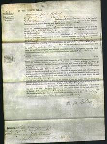 Court of Common Pleas - Elizabeth Cooper-Original Ancestry