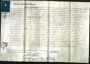 Court of Common Pleas - Sarah Sumner, Elizabeth Hobson and Ellen Elliott-Original Ancestry
