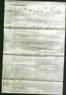 Court of Common Pleas - Margaret Lewis-Original Ancestry